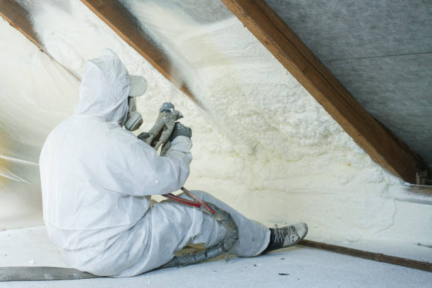 Types of Insulation We Offer in Palermo, CA